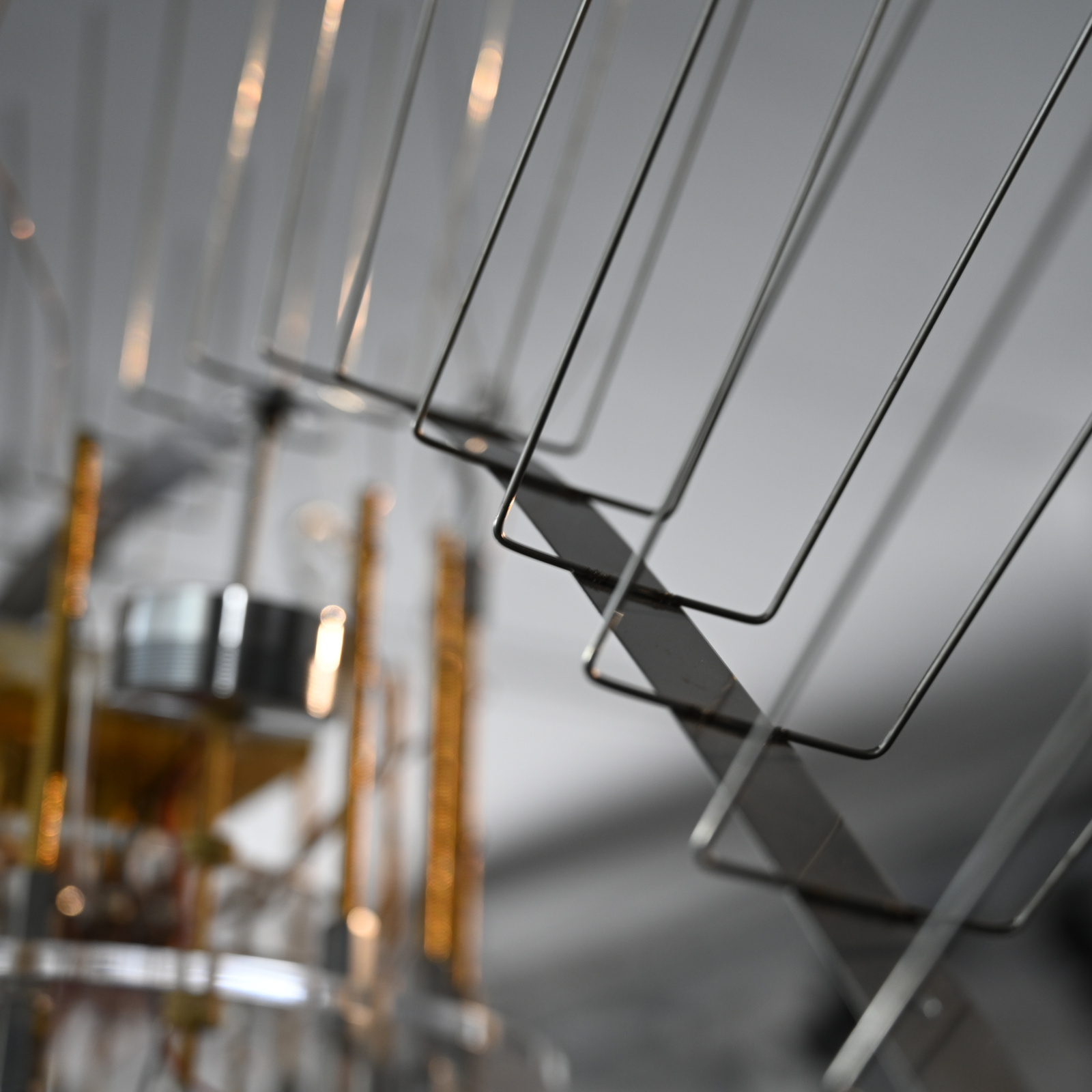 A-x-Myxomycetes biochip detail