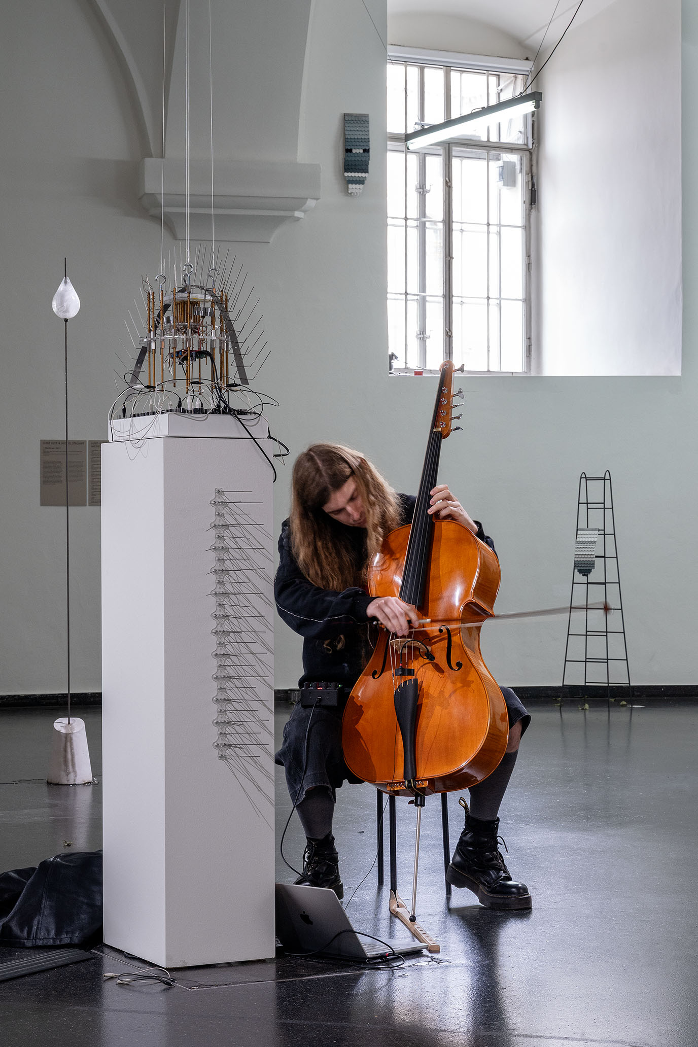 A-x-Myxomycetes installation detail