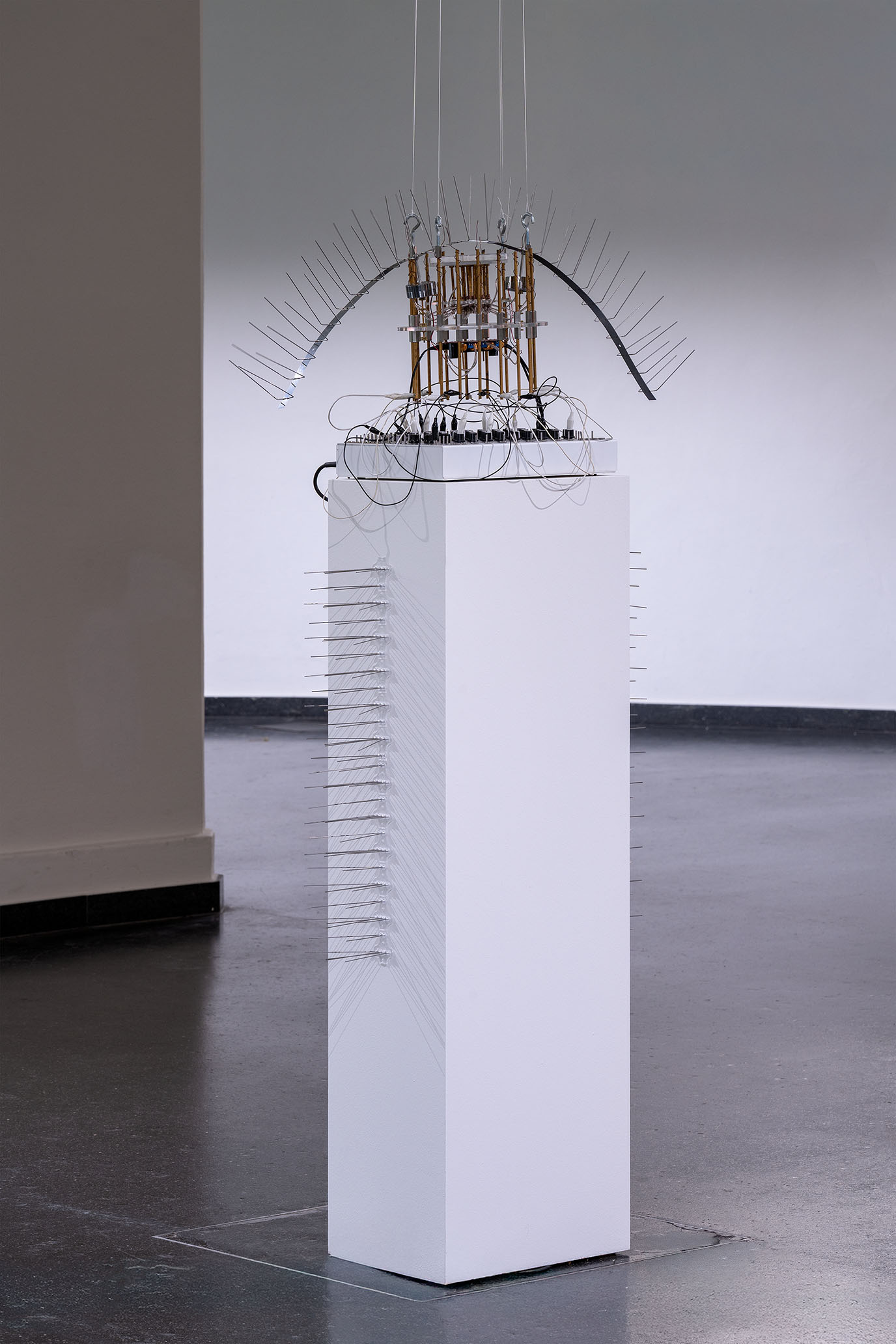 A-x-Myxomycetes at Museumsquartier